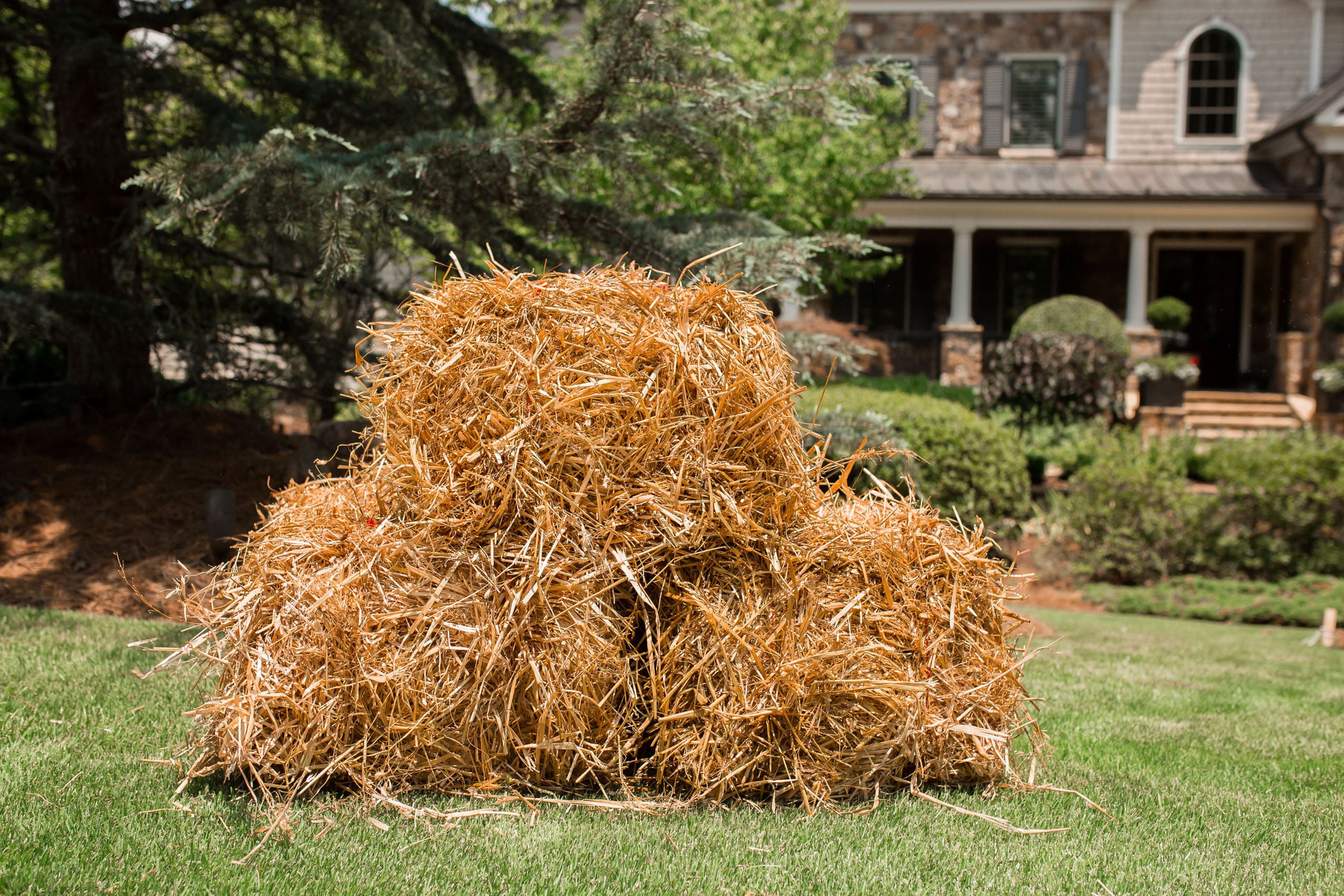 clean-straw-bagged-wheat-straw3