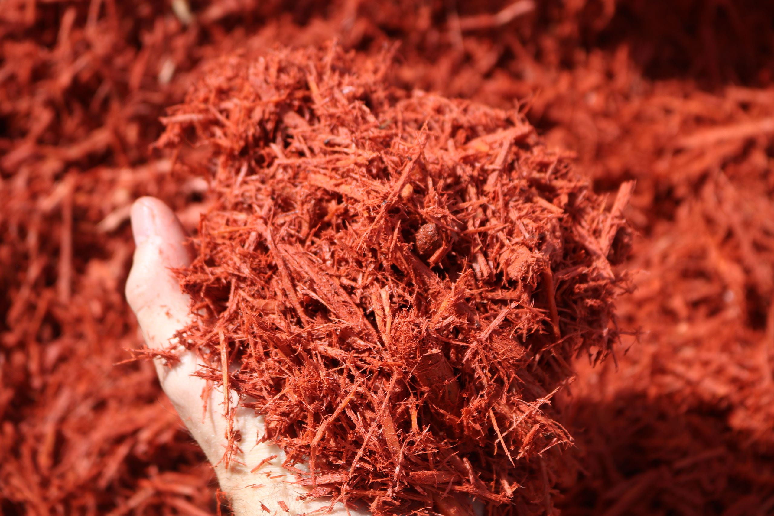 colored-platinum-mulch-red2