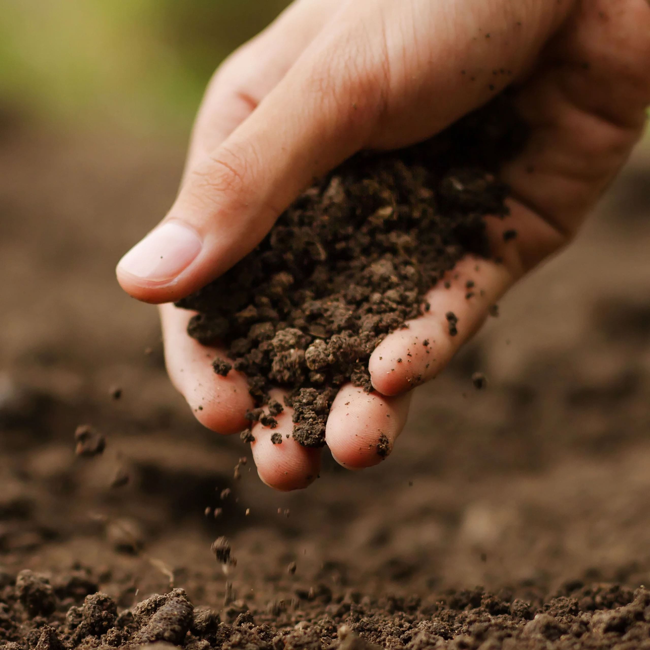 garden-magic-potting-soil2