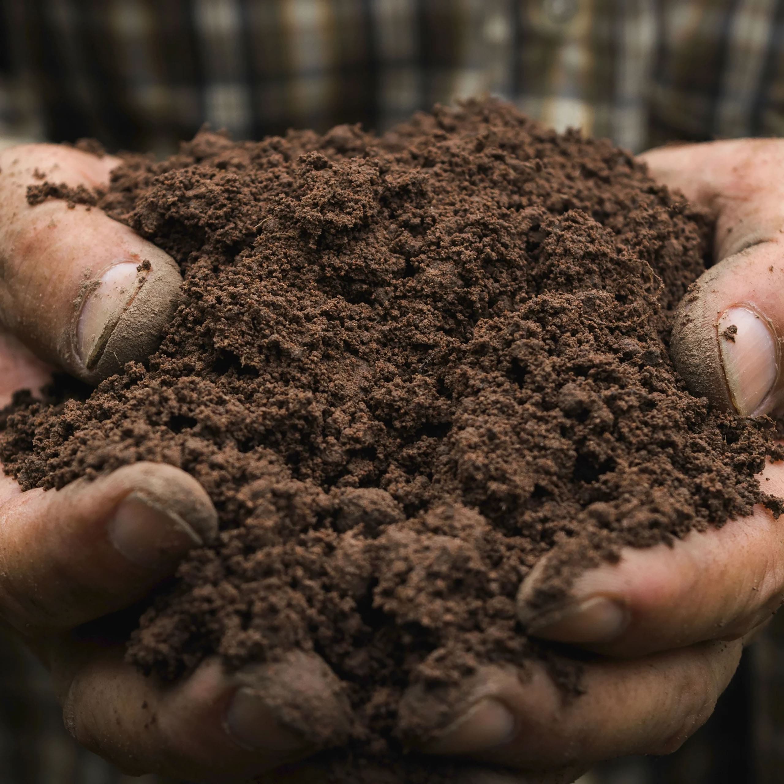 garden-magic-potting-soil3