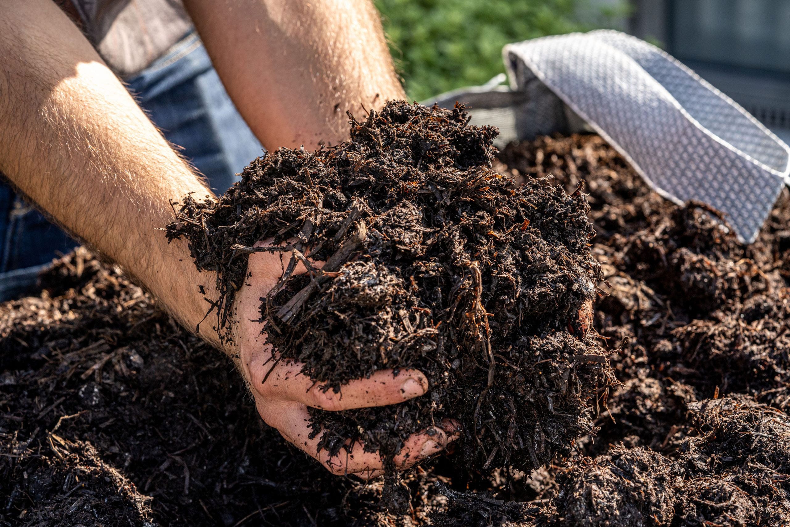 mushroom-compost2