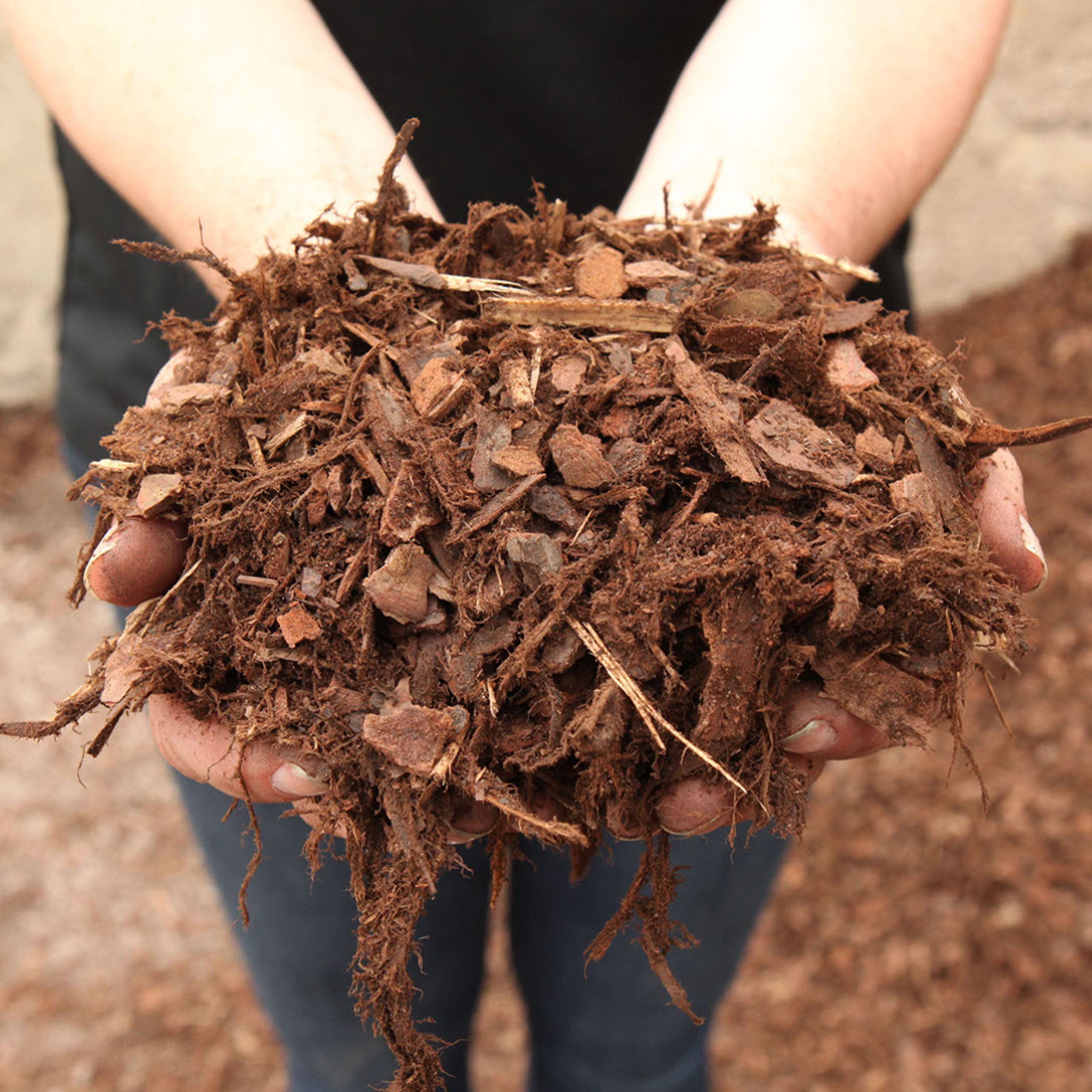 pine-soil-conditioner2