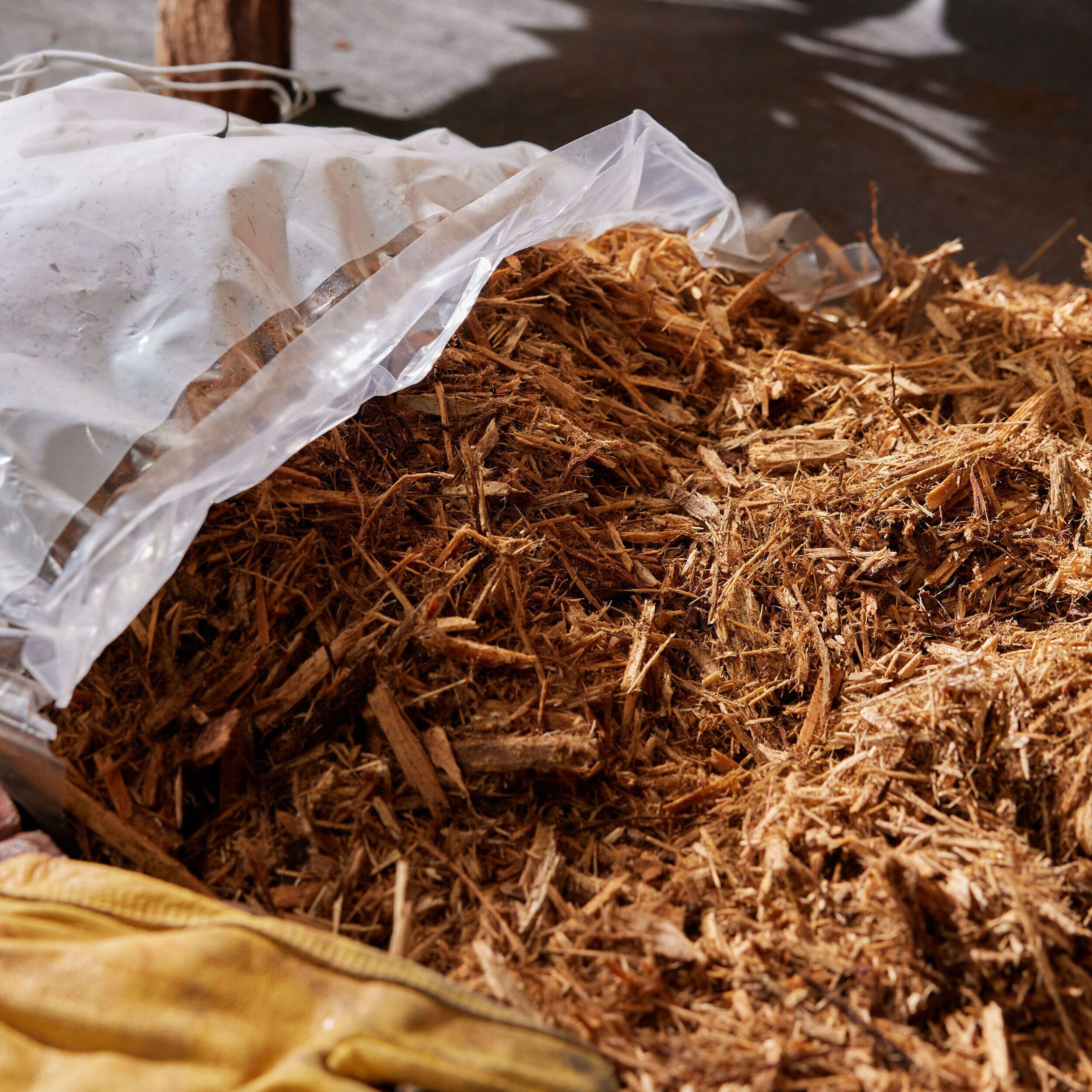 premium-cypress-blend2