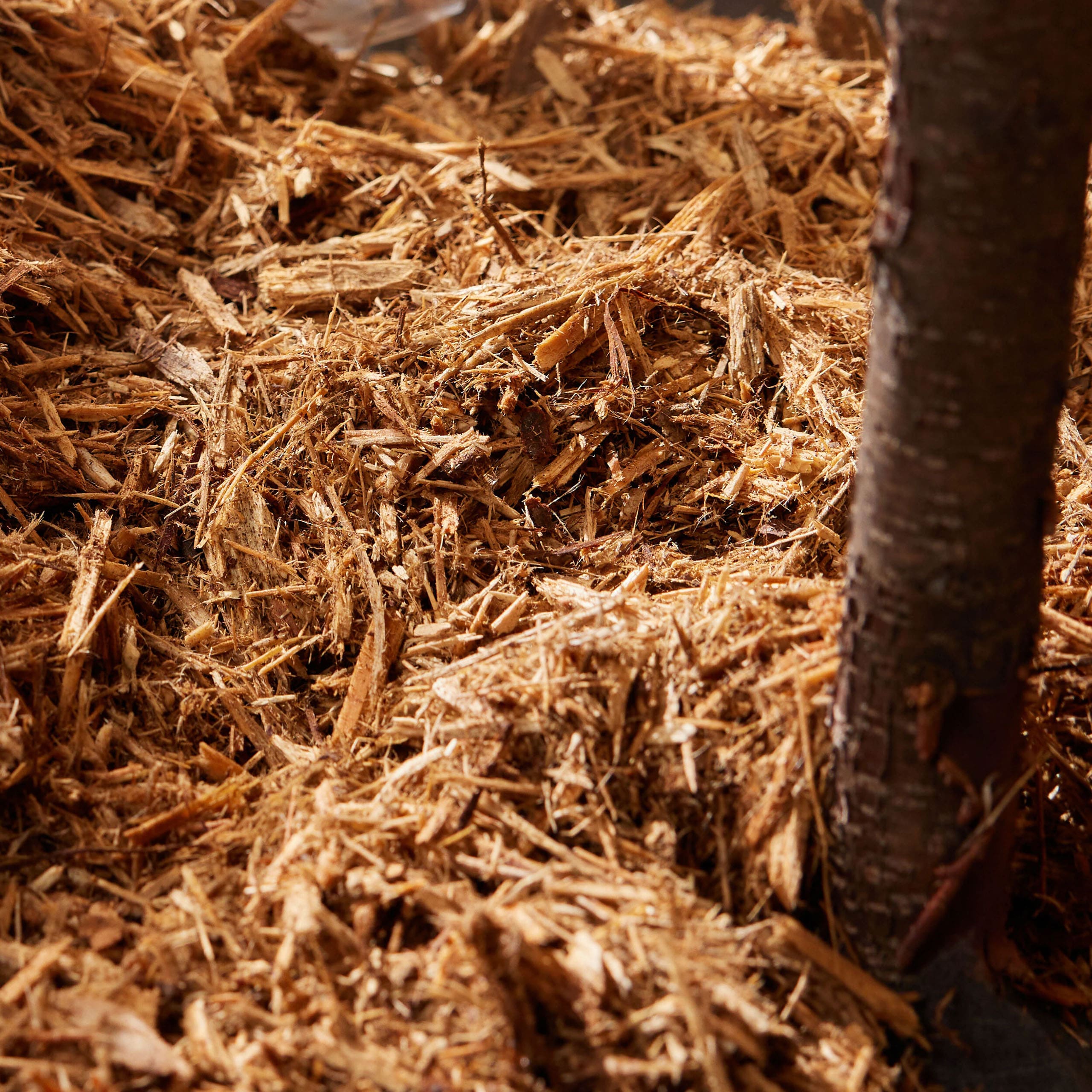 premium-cypress-blend3